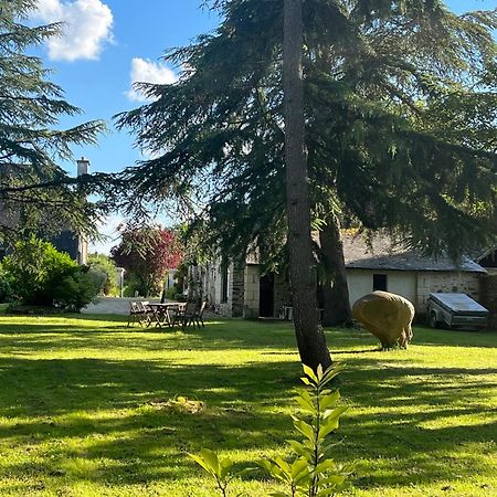 Maison De Charme Saint-Saturnin-sur-Loire Exterior photo